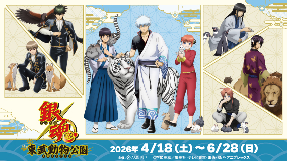 TVアニメ『銀魂』×東武動物公園