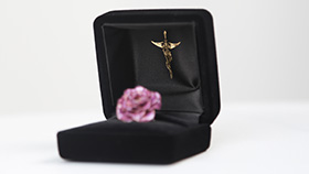 家紋入り特製ケース