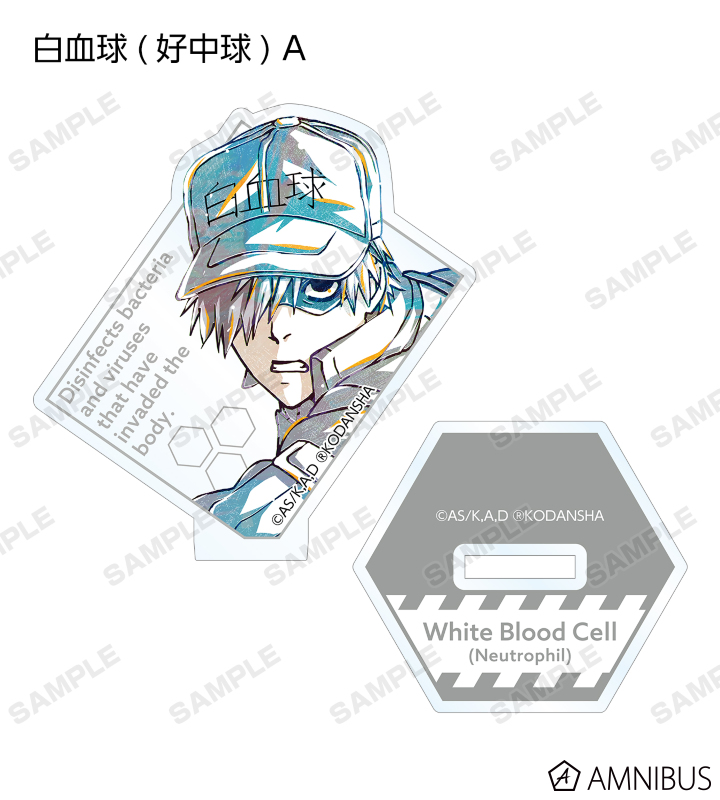 はたらく細胞 アクリルフィギュアスタンド 02 キラーT細胞