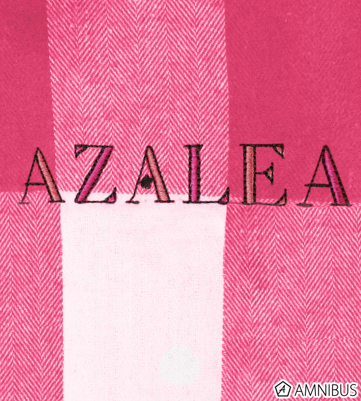 ネルシャツ(AZALEA)