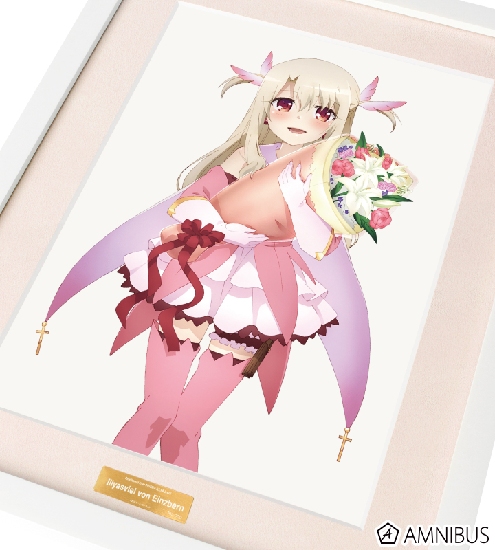 アニメ・漫画系金券　イリヤスフィール・フォン・アインツベルン/美遊「図書カード500 Fate/kaleid liner プリズマ☆イリヤ 2wei!」 コンプエース2011年3月号 抽プレ TVアニメ「Fate/kaleid liner プリズマ☆イリヤ ドライ