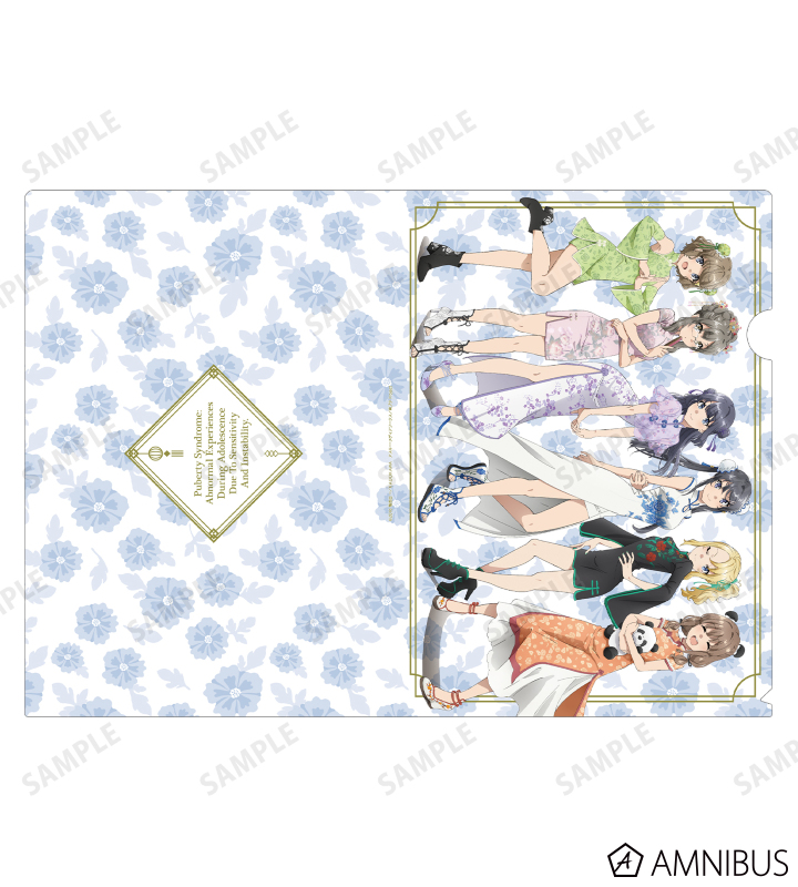 NMB48 新品未開封 team N 2012 お正月晴れ着 A4クリアファイル NMB48 新品未開封 team N 2012 お正月晴れ着 A4クリアファイル