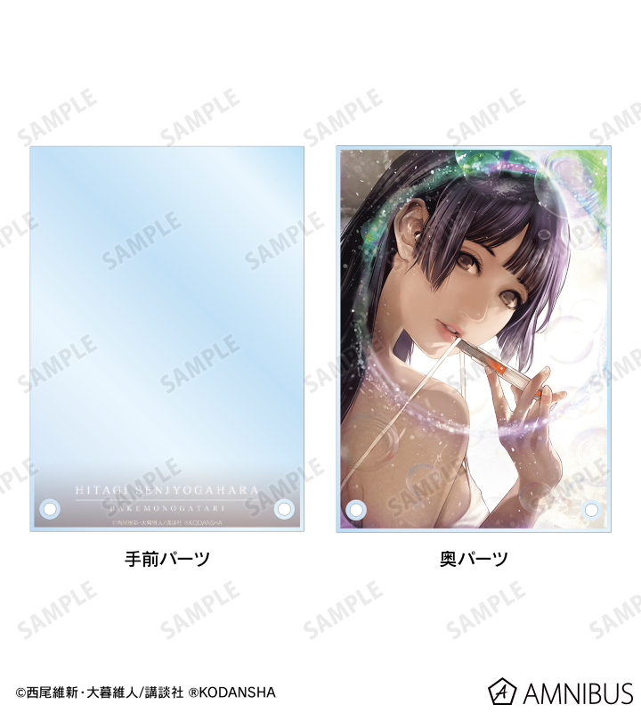 化物語　特装版　1〜15巻 西尾維新 化物語(15)特装版＜特装版＞ COMIC : タワーレコード