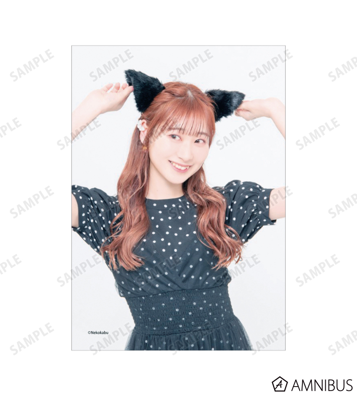 ブロマイド 3枚セット C