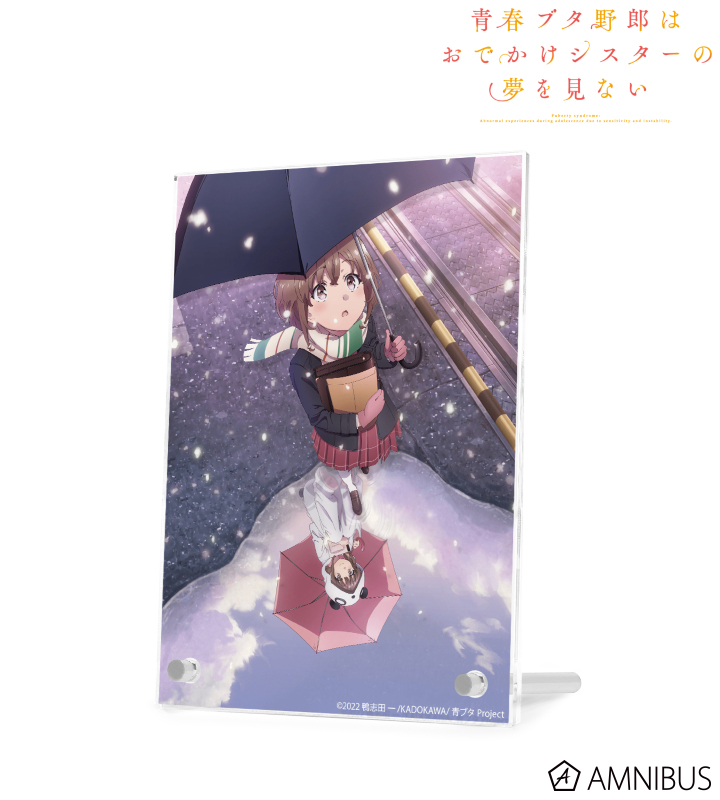 ティザービジュアル ダブルアクリルパネル