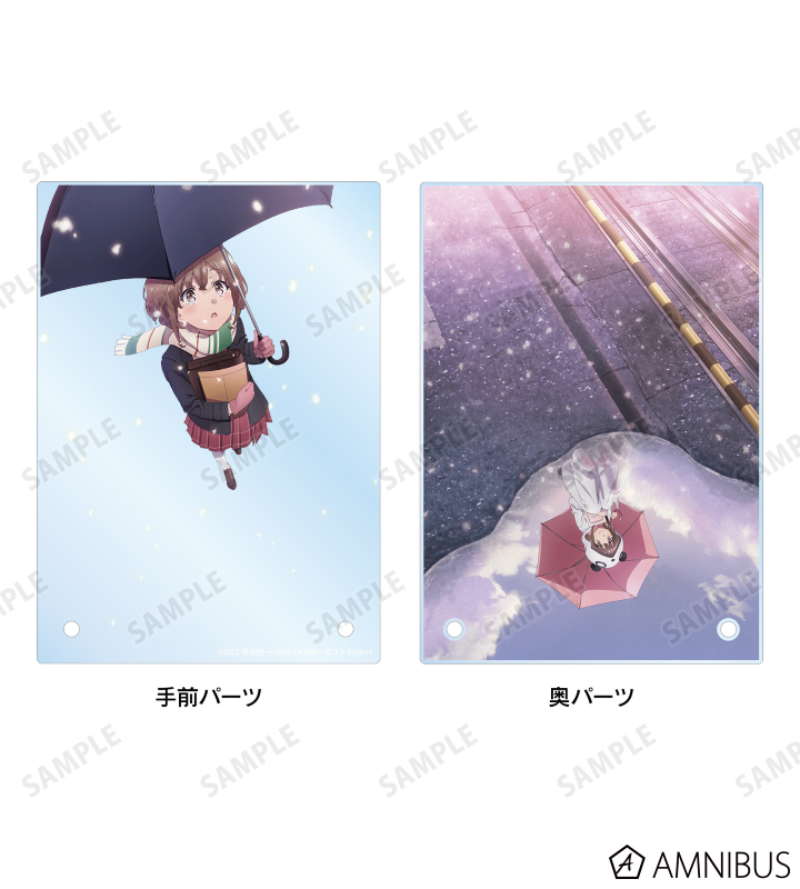 ティザービジュアル ダブルアクリルパネル