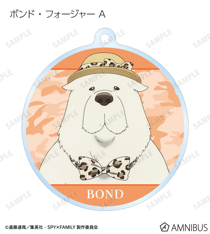 SPY×FAMILY 東武動物公園 トレーディングアクリルカード 未開封BOX SPY×FAMILY - 東武動物公園コラボ 描き下ろしイラスト アニマル