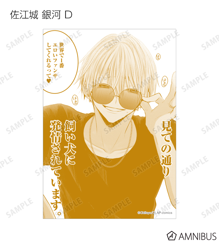 トレーディングブロマイド2枚セット