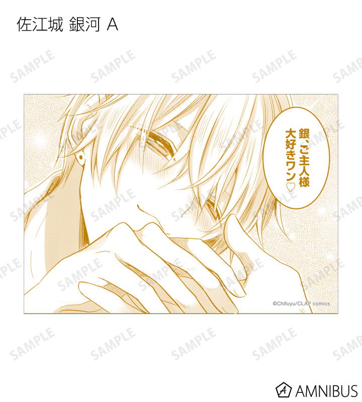 トレーディングブロマイド2枚セット