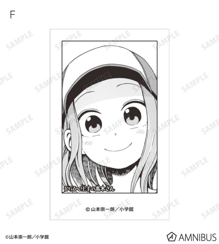 からかい トレーディングインスタントカメラ風イラストカード2枚セット