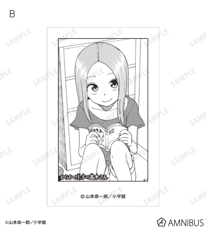 からかい トレーディングインスタントカメラ風イラストカード2枚セット