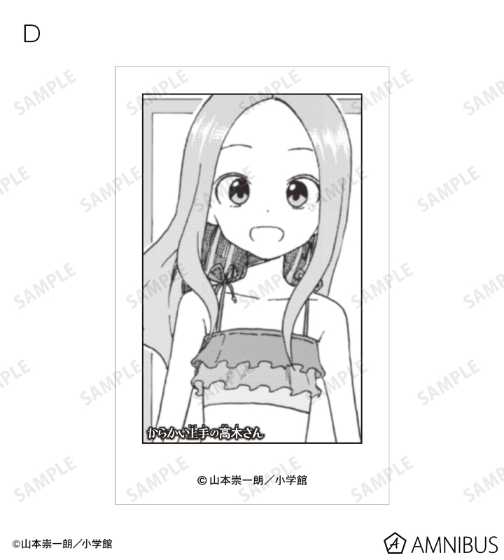 からかい トレーディングインスタントカメラ風イラストカード2枚セット