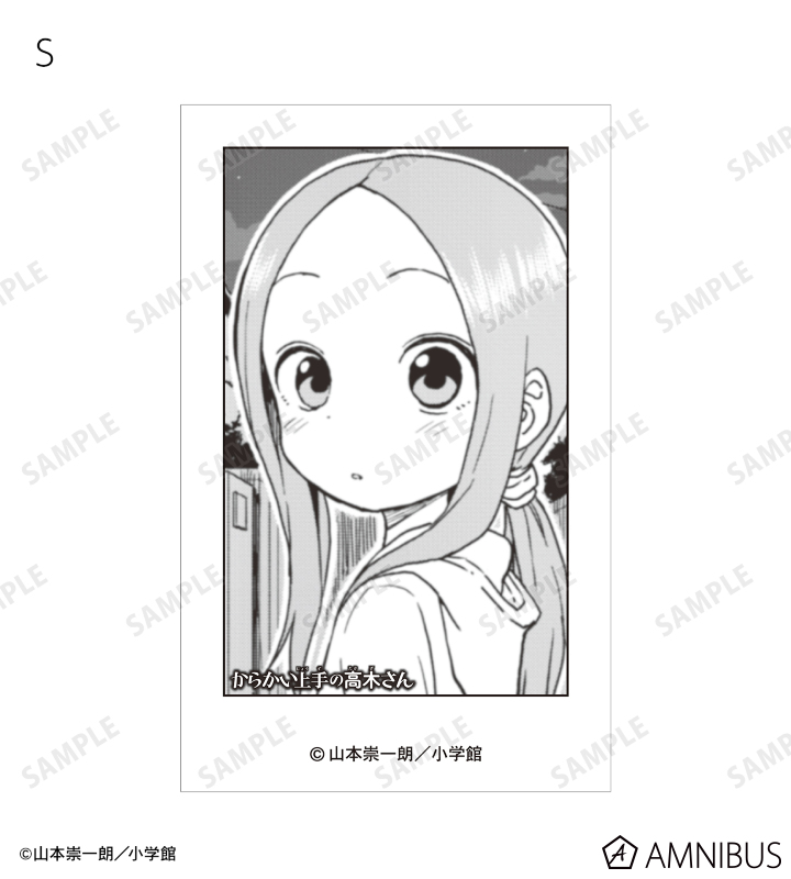 からかい トレーディングインスタントカメラ風イラストカード2枚セット