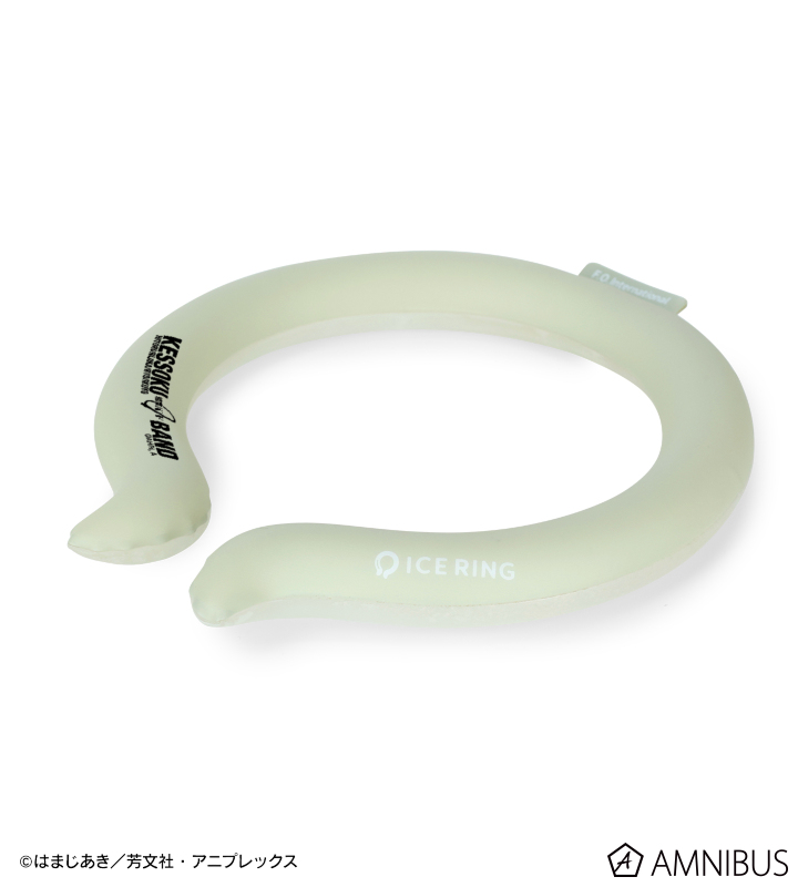 結束バンド ICE RING