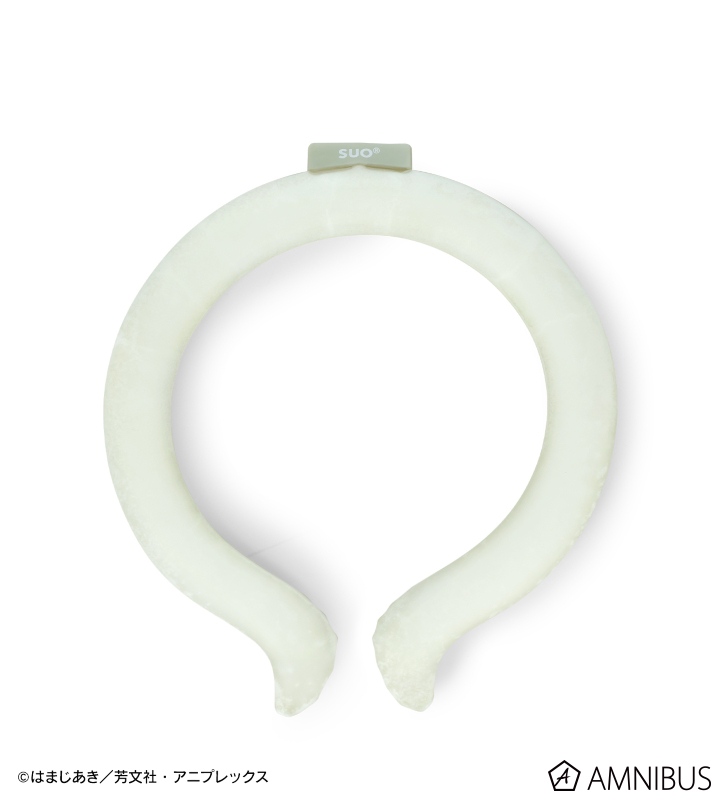 結束バンド ICE RING