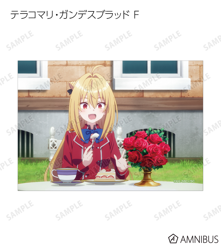 サクナコレクション風 コマリ様 トレーディングブロマイド3枚セット