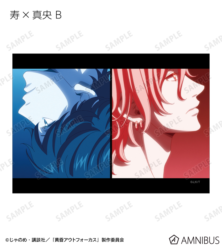 トレーディングブロマイド