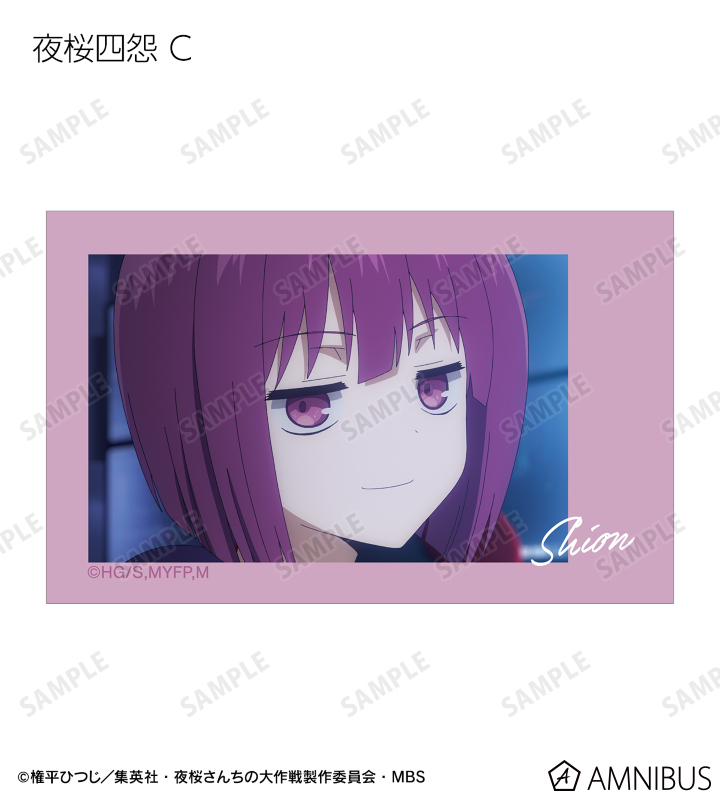トレーディング場面写インスタントカメラ風イラストカード2枚セット