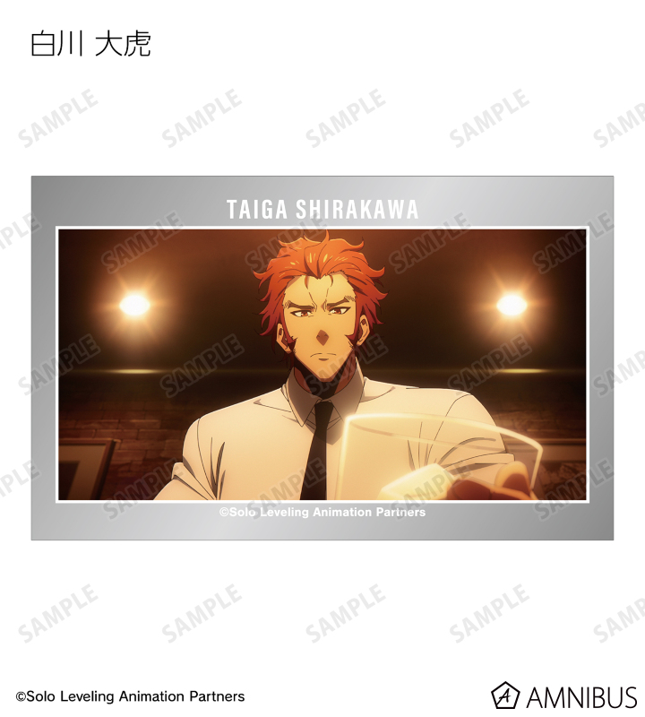 俺だけレベルアップな件 トレーディング場面写イラストカード AMNIBUS特典付 TVアニメ『俺だけレベルアップな件』 - トレーディング場面写
