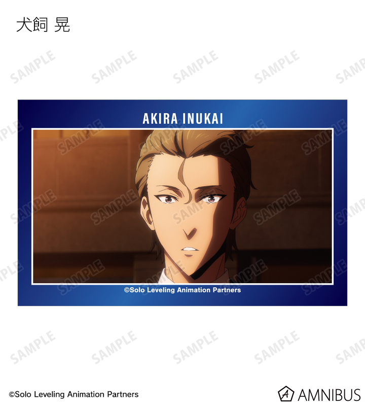 俺だけレベルアップな件 トレーディング場面写イラストカード AMNIBUS特典付 TVアニメ『俺だけレベルアップな件』 - トレーディング場面写