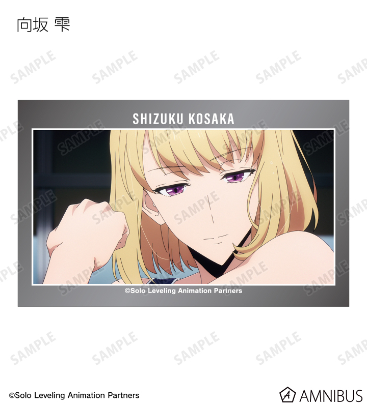 俺だけレベルアップな件 イラストカード 複製サイン入り Echo 店舗特典 俺だけレベルアップな件 イラストカード 複製サイン入り Echo