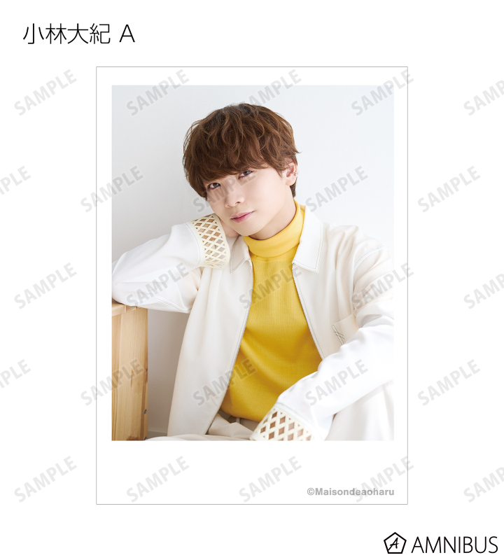 WEESA フォトカ アニバーサリー Amazon.co.jp: PSYCHIC FEVER WEESA Japan Expo Trading Card X