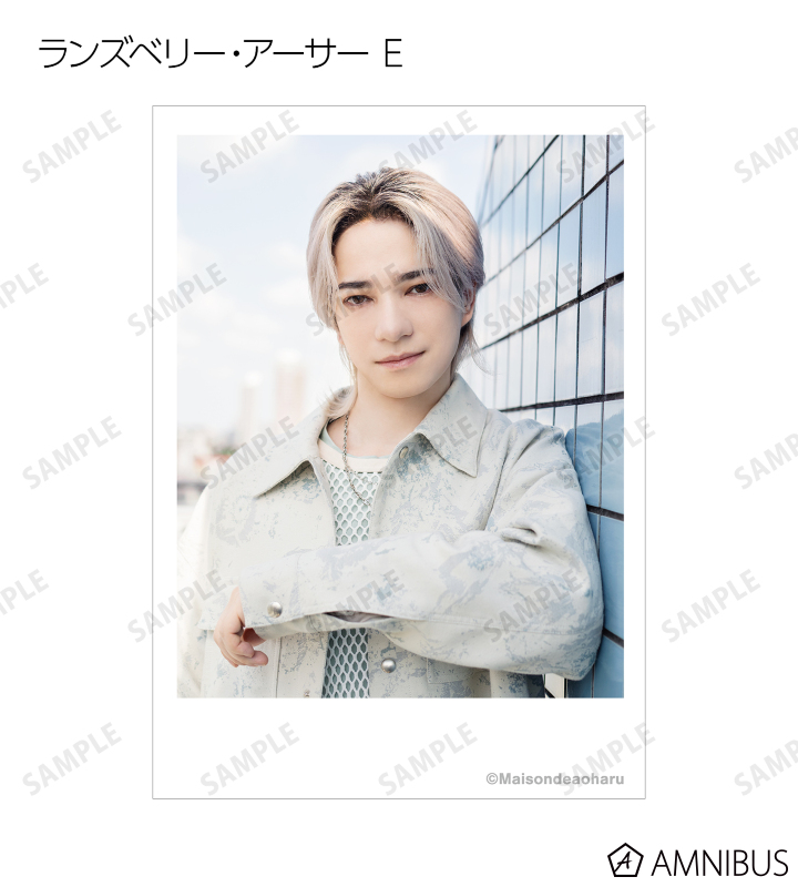 Aiai様 リクエスト 5点 まとめ商品 サカイペット産業 フリーペットドアDX ホワイト CFS