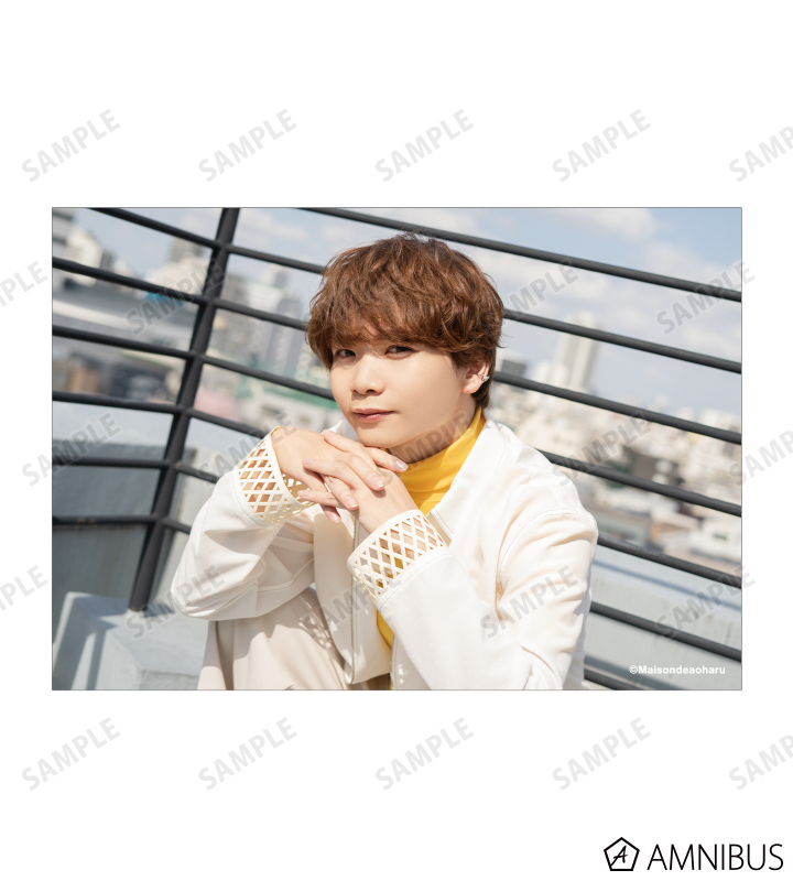 GA ARthur, Young Heir 四枚セット