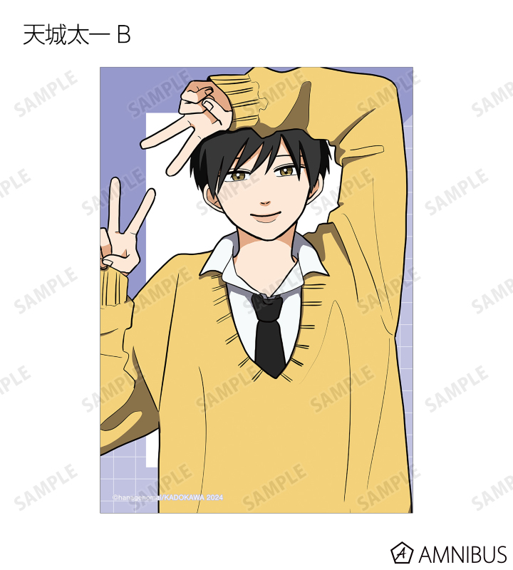 トレーディングブロマイド