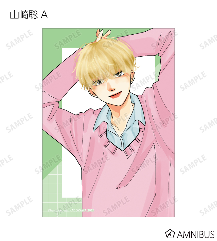 トレーディングブロマイド