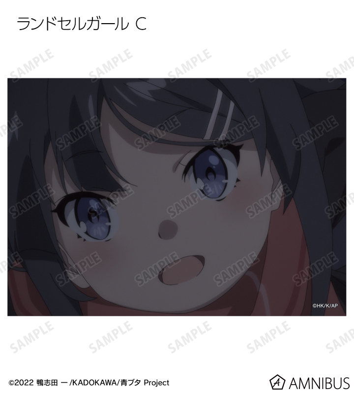トレーディング場面写ブロマイド