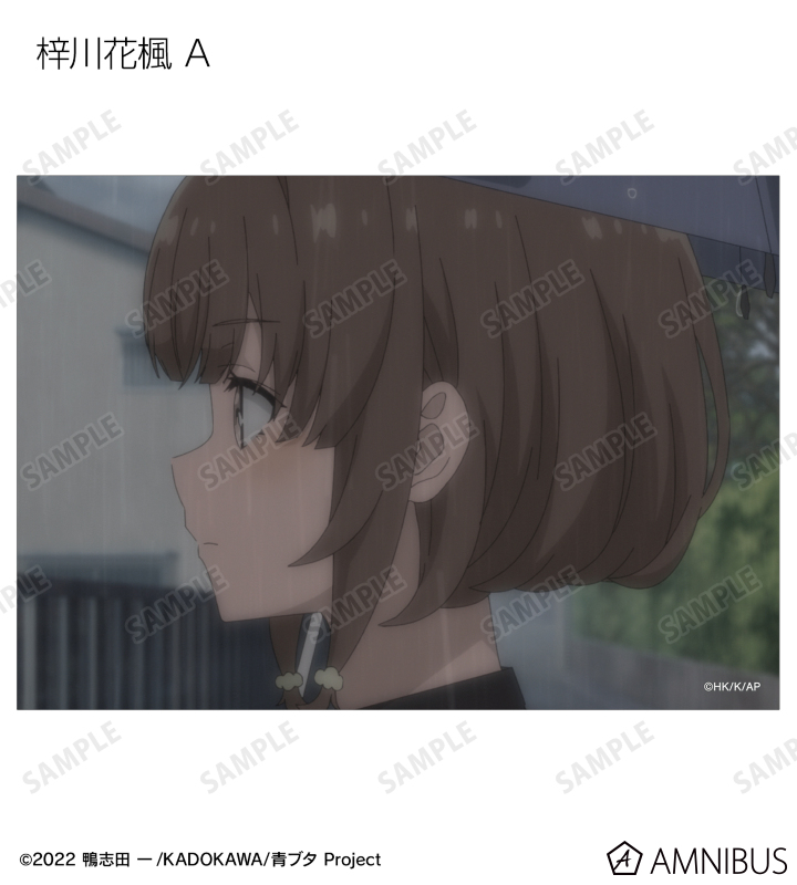 ゆめ様 青春ブタ野郎はランドセルガールの夢を見ない - ティザー