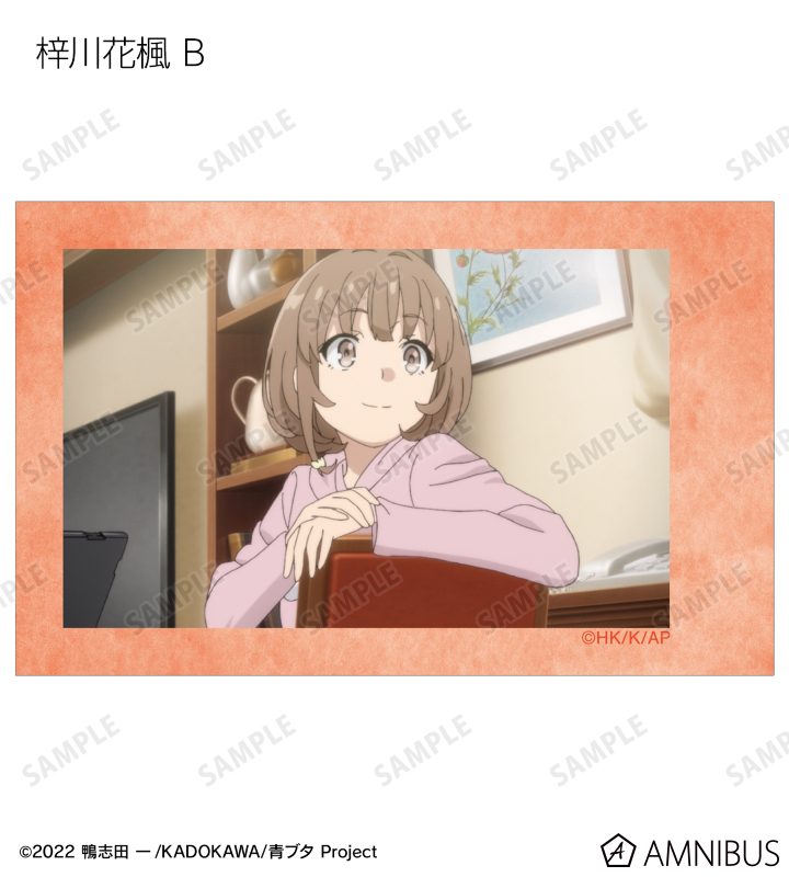 トレーディング場面写インスタントカメラ風イラストカード