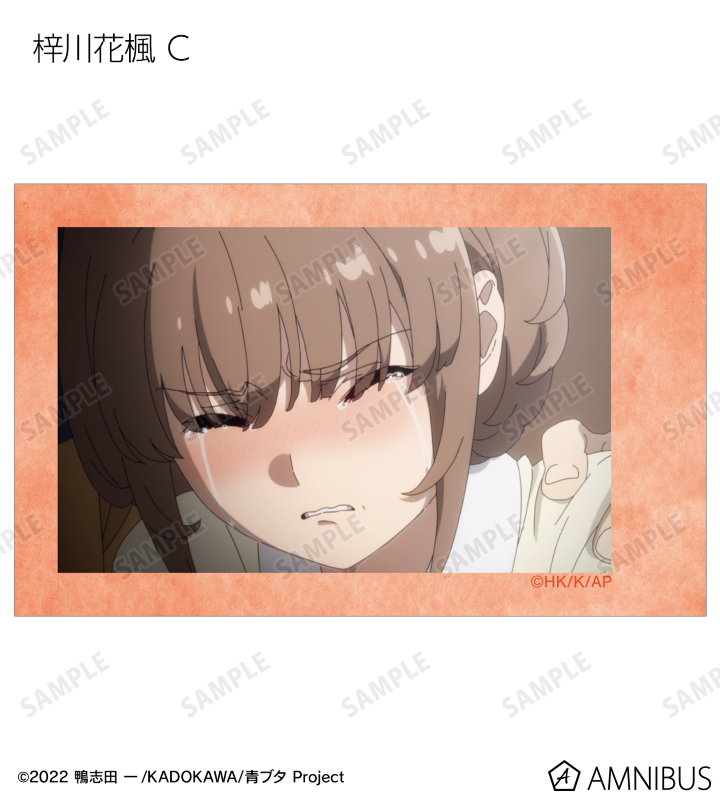 トレーディング場面写インスタントカメラ風イラストカード