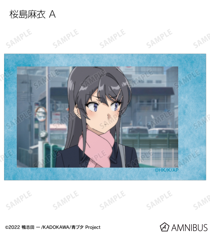 トレーディング場面写インスタントカメラ風イラストカード