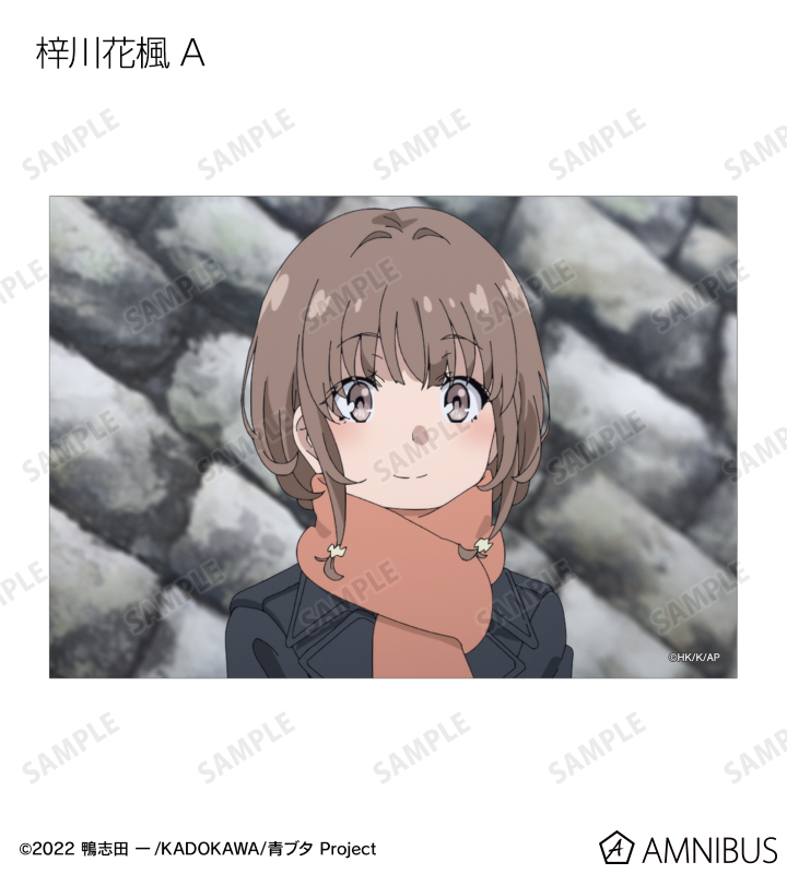 トレーディング場面写ブロマイド