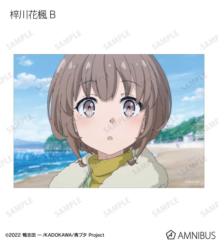 トレーディング場面写ブロマイド