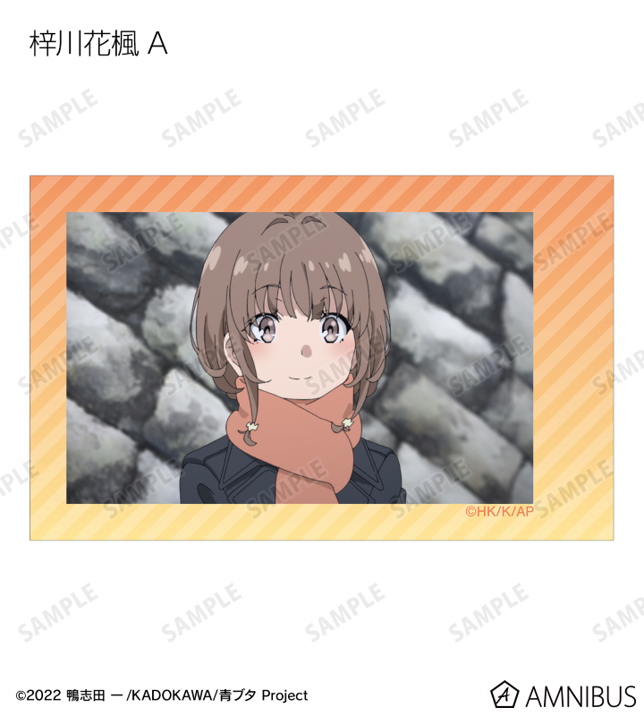 トレーディング場面写インスタントカメラ風イラストカード