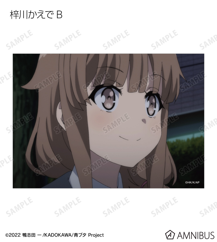 トレーディング場面写ブロマイド