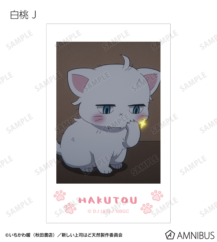 トレーディング 白桃オンリー 場面写インスタントカメラ風イラストカード