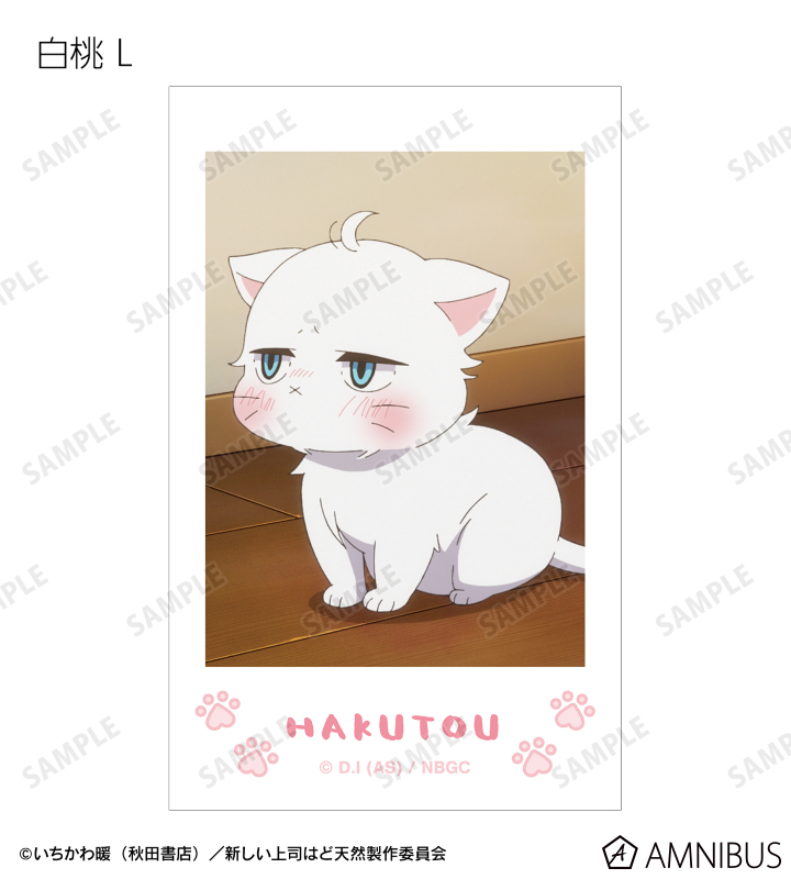 トレーディング 白桃オンリー 場面写インスタントカメラ風イラストカード