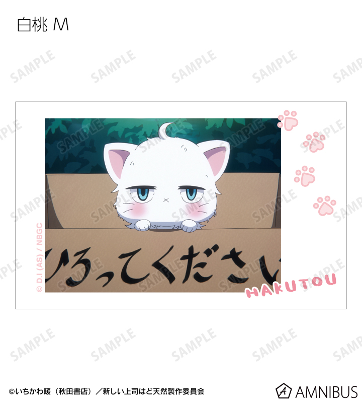 トレーディング 白桃オンリー 場面写インスタントカメラ風イラストカード