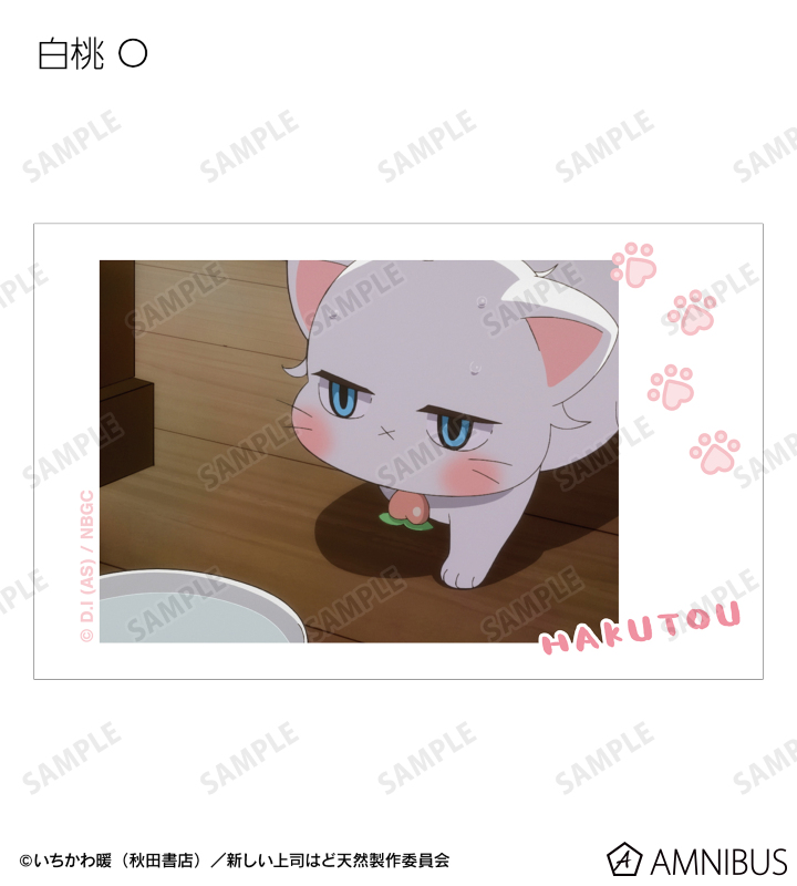トレーディング 白桃オンリー 場面写インスタントカメラ風イラストカード