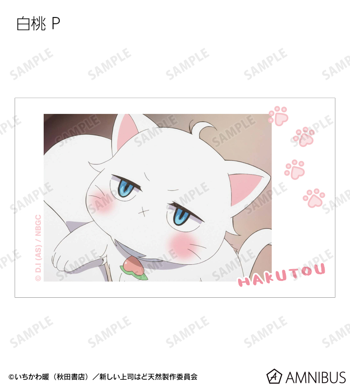 トレーディング 白桃オンリー 場面写インスタントカメラ風イラストカード