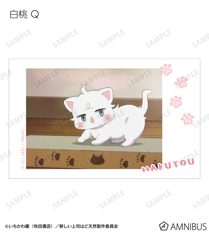 トレーディング 白桃オンリー 場面写インスタントカメラ風イラストカード