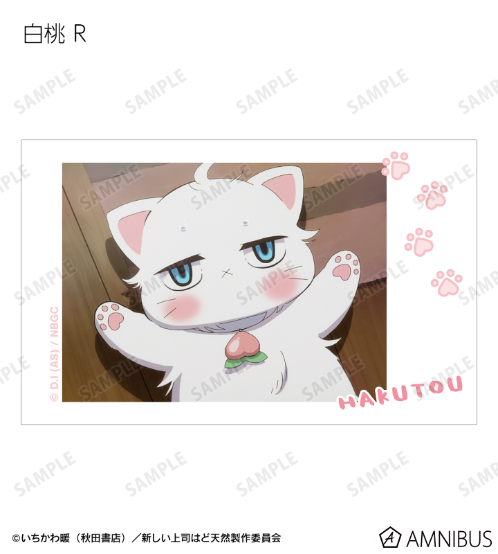 トレーディング 白桃オンリー 場面写インスタントカメラ風イラストカード