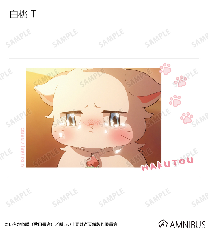 トレーディング 白桃オンリー 場面写インスタントカメラ風イラストカード