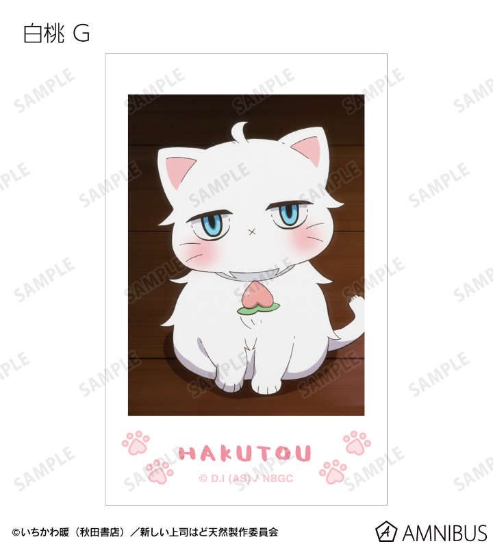 トレーディング 白桃オンリー 場面写インスタントカメラ風イラストカード