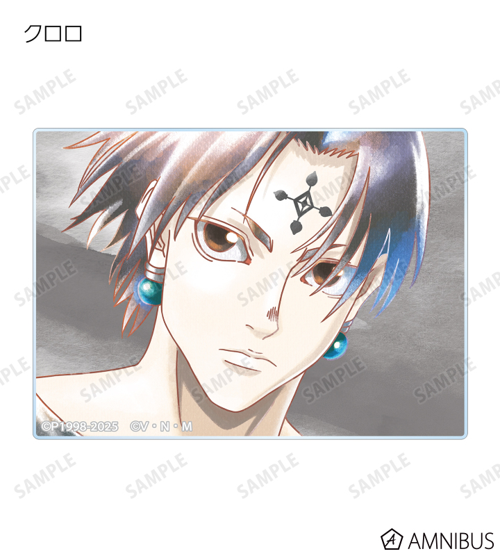 非売品カード‼️⑧HUNTER x HUNTER アニメイト 限定カード2枚‼️ 通販限定】Z/X -Zillions of enemy X- CD付きタオルケット「竜の