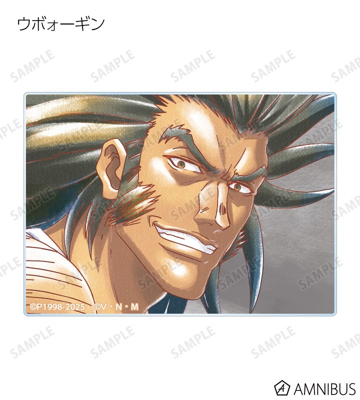 HUNTER×HUNTER - トレーディング Ani-Art aqua label 第2弾